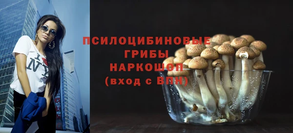 ПСИЛОЦИБИНОВЫЕ ГРИБЫ Алзамай
