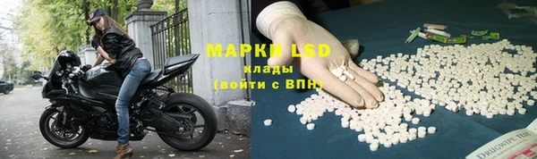 ПСИЛОЦИБИНОВЫЕ ГРИБЫ Алзамай